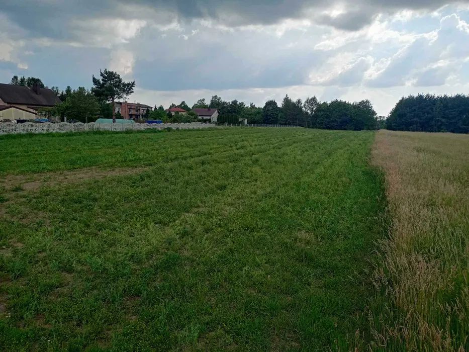 Działka rolno-budowlana Pławno, ul. Przedborska. Zdjęcie 6