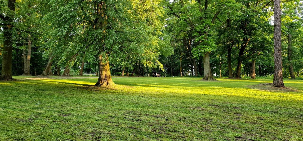 Działka inwestycyjna Zameczek. Zdjęcie 6