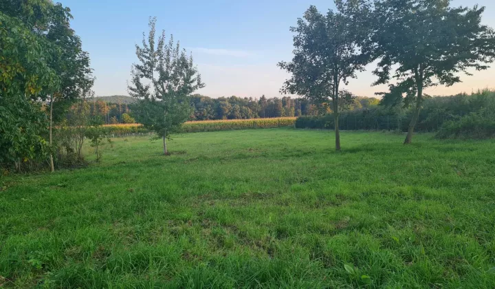 Działka budowlana Uciechów Kołaczów