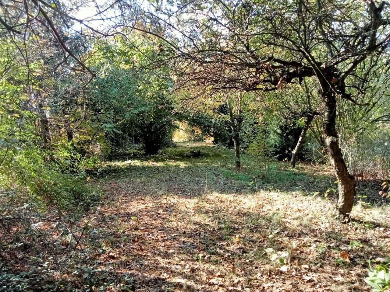 Działka rolna Łęg. Zdjęcie 8