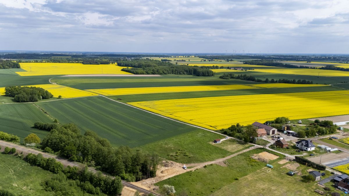 Działka inwestycyjna Poniatowice. Zdjęcie 8