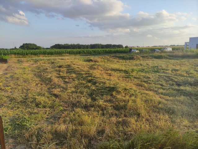 Działka budowlana Bierzglinek, ul. Wierzbowa. Zdjęcie 1