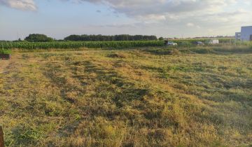 Działka budowlana Bierzglinek, ul. Wierzbowa