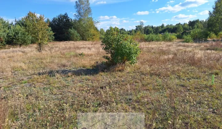 Działka budowlana Lucynów Duży