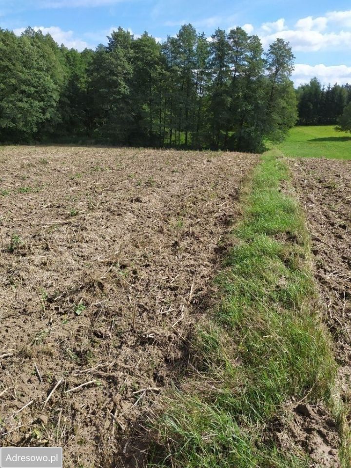 Działka siedliskowa Motycz. Zdjęcie 6