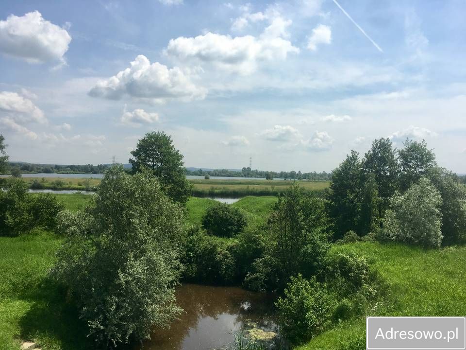 Działka rekreacyjna Jankowice. Zdjęcie 3