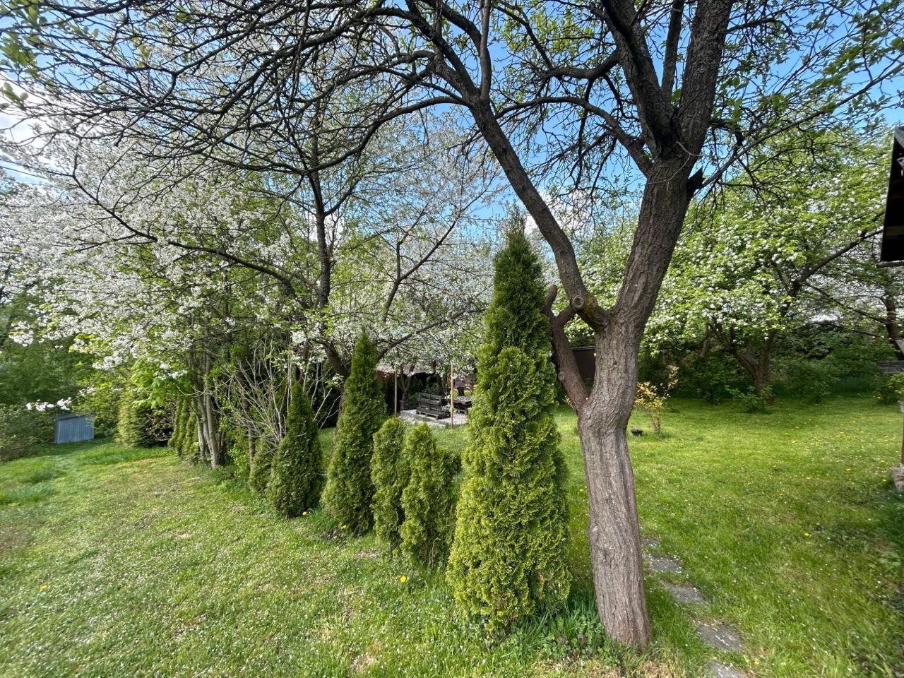 Działka rod Gorlice, ul. Błażeja i Stanisława Wrońskich. Zdjęcie 8