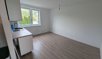 Mieszkanie 1-pokojowe Kolonia Polska