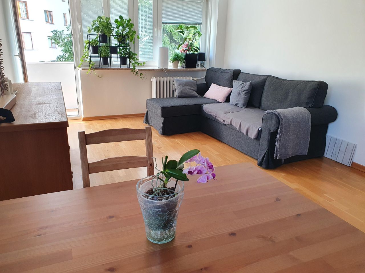 Mieszkanie 3-pokojowe Warszawa Żoliborz, ul. Sady Żoliborskie