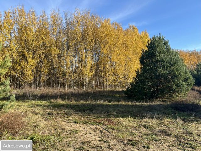 Działka budowlana Owczegłowy. Zdjęcie 1
