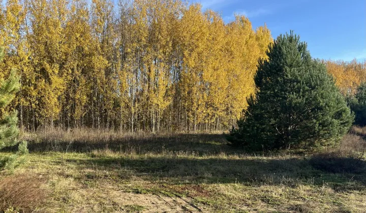 Działka budowlana Owczegłowy