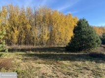 Działka budowlana Owczegłowy