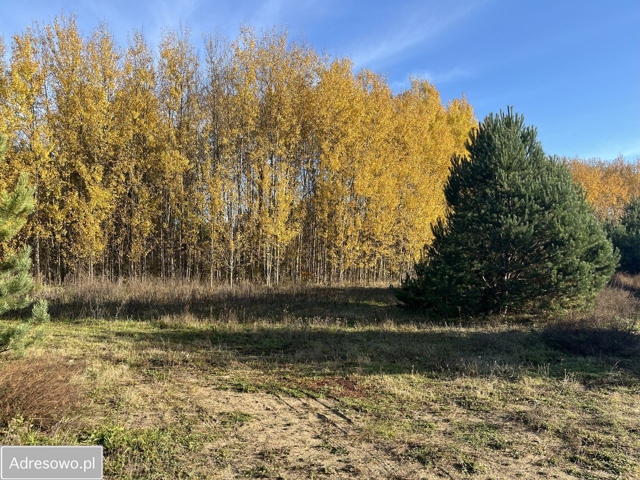 Działka budowlana Owczegłowy