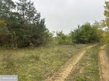 Działka rolno-budowlana Krajkowo. Zdjęcie 2