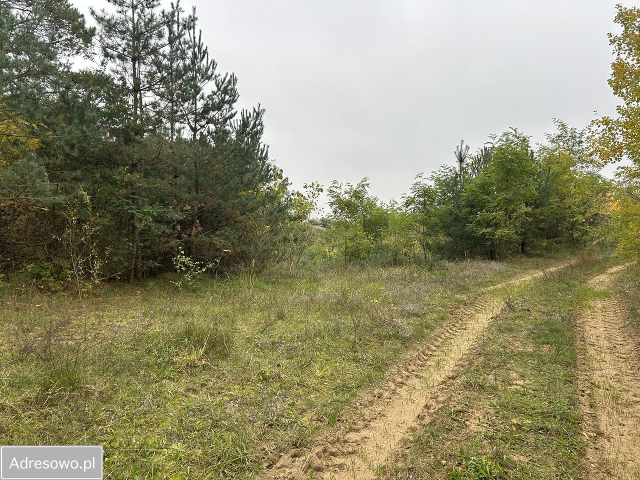 Działka rolno-budowlana Krajkowo. Zdjęcie 3