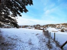 Działka rolno-budowlana Mielnik, ul. Stary Trakt. Zdjęcie 1