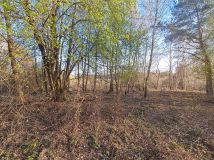 Działka rolno-budowlana Płock, Zofiówka. Zdjęcie 3