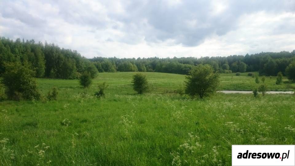 Działka rolna Krekole. Zdjęcie 4