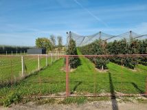 Działka budowlana Chynów, ul. Owocowa