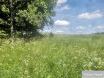 Działka rolna Piłaki Wielkie. Zdjęcie 2