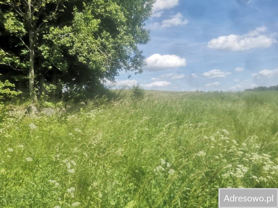 Działka rolna Piłaki Wielkie. Zdjęcie 3