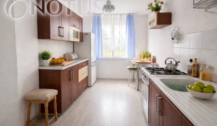 dom wolnostojący, 2 pokoje Klatka