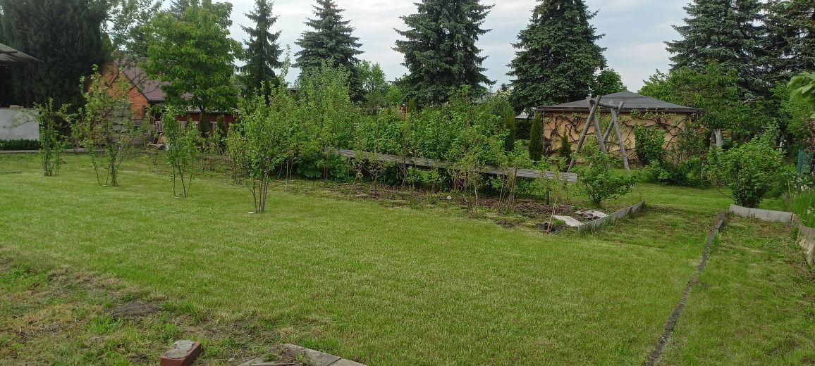 Działka rod Trzcianka. Zdjęcie 6