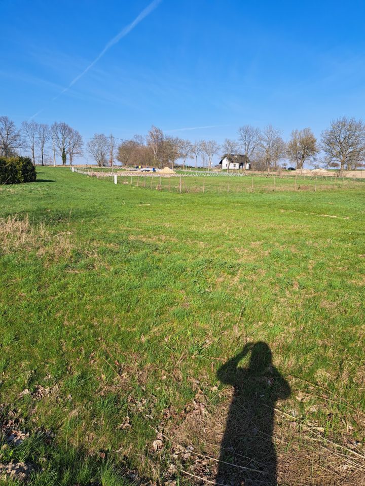 Działka rolno-budowlana Kicko. Zdjęcie 8