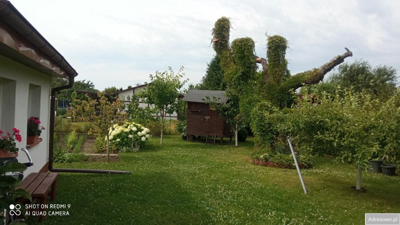 Działka rekreacyjna Słupsk. Zdjęcie 2