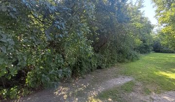 Działka budowlana Kalisz Piwonice, ul. Ptolemeusza