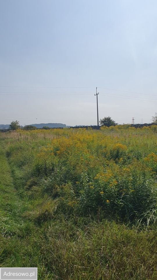 Działka inwestycyjna Raciborowice, ul. Kanonicza. Zdjęcie 2