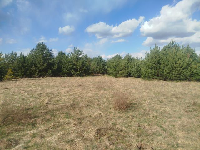 Działka budowlana Królowa Wola. Zdjęcie 1