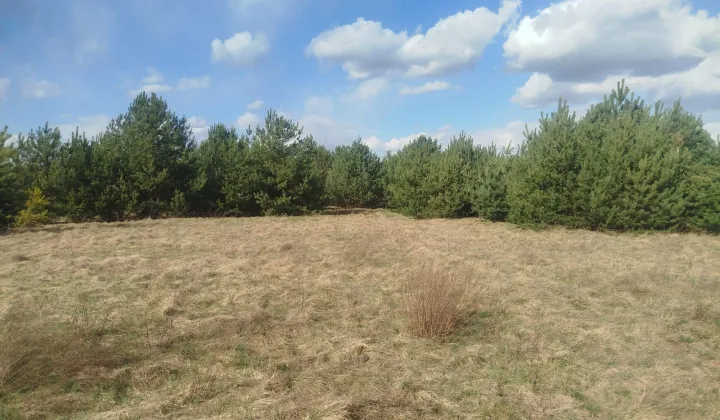 Działka budowlana Królowa Wola