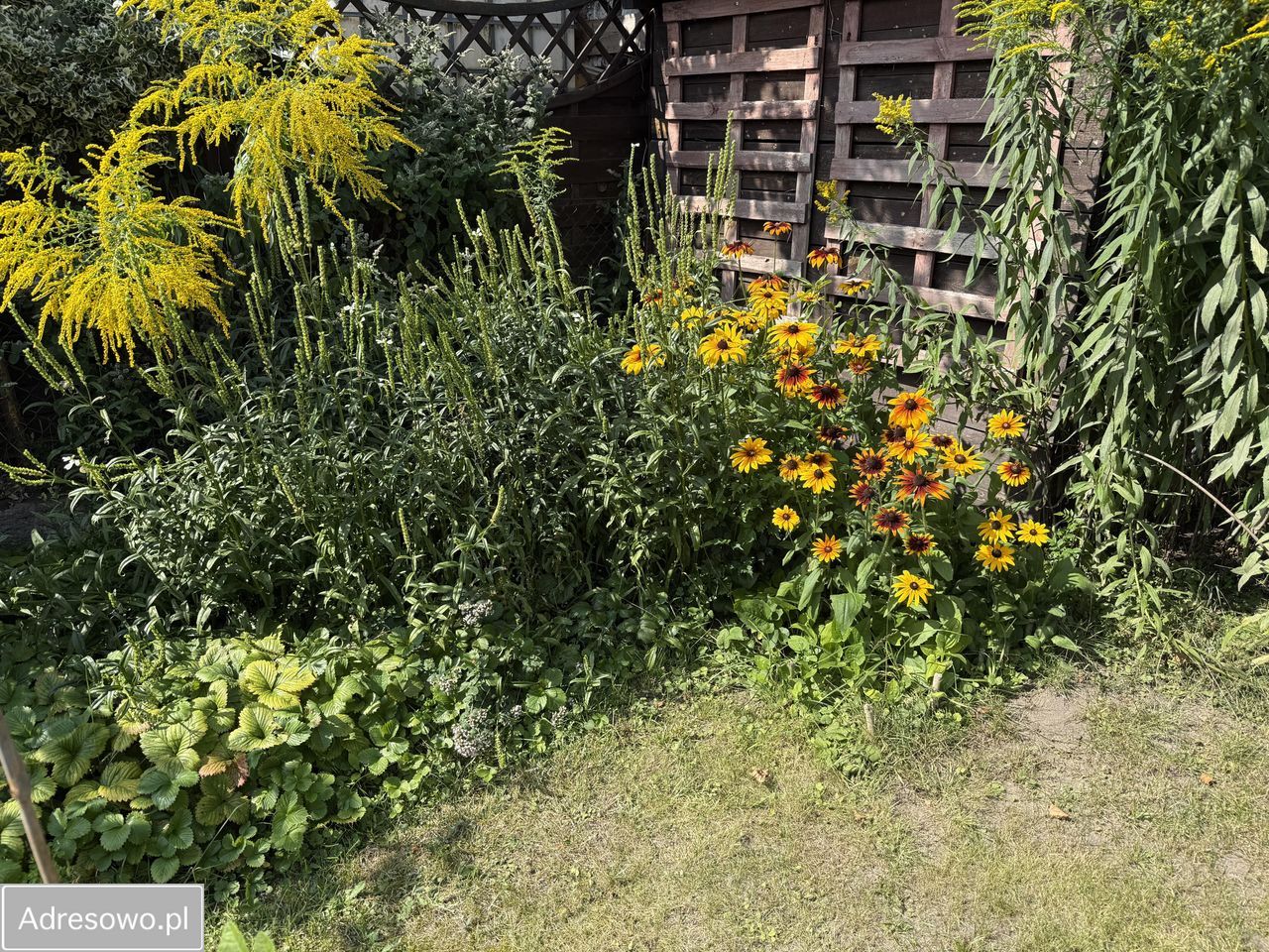 dom wolnostojący, 3 pokoje Kołata. Zdjęcie 14