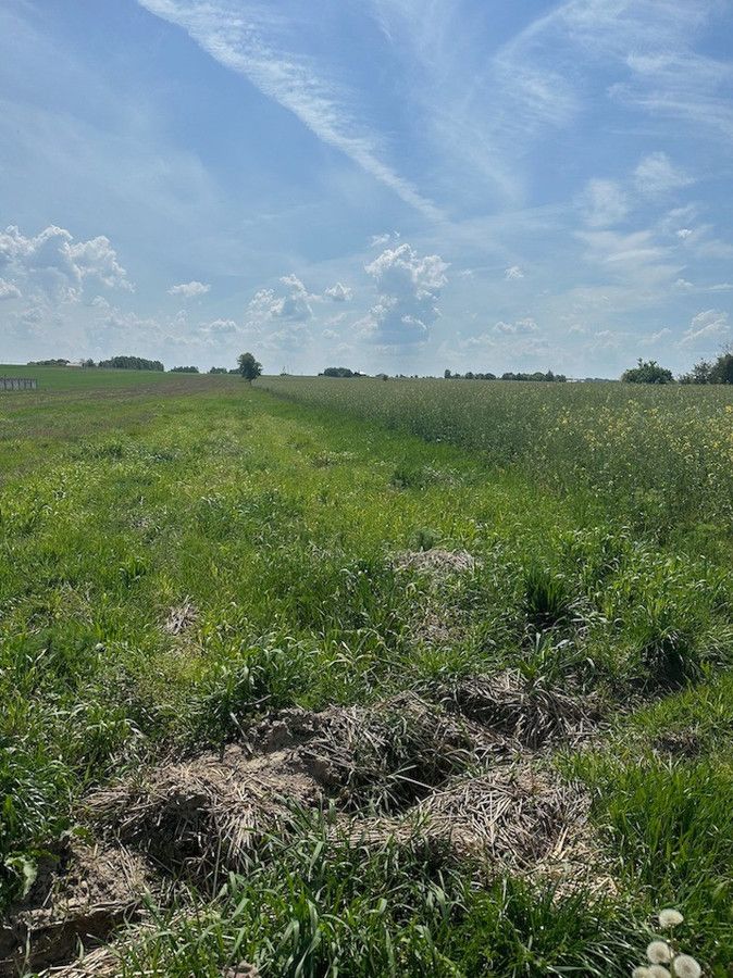Działka budowlana Kłobukowice. Zdjęcie 5