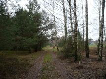 Działka rekreacyjna Łask. Zdjęcie 3