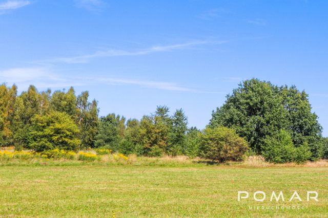 Działka Nędza, ul. Gliwicka. Zdjęcie 2