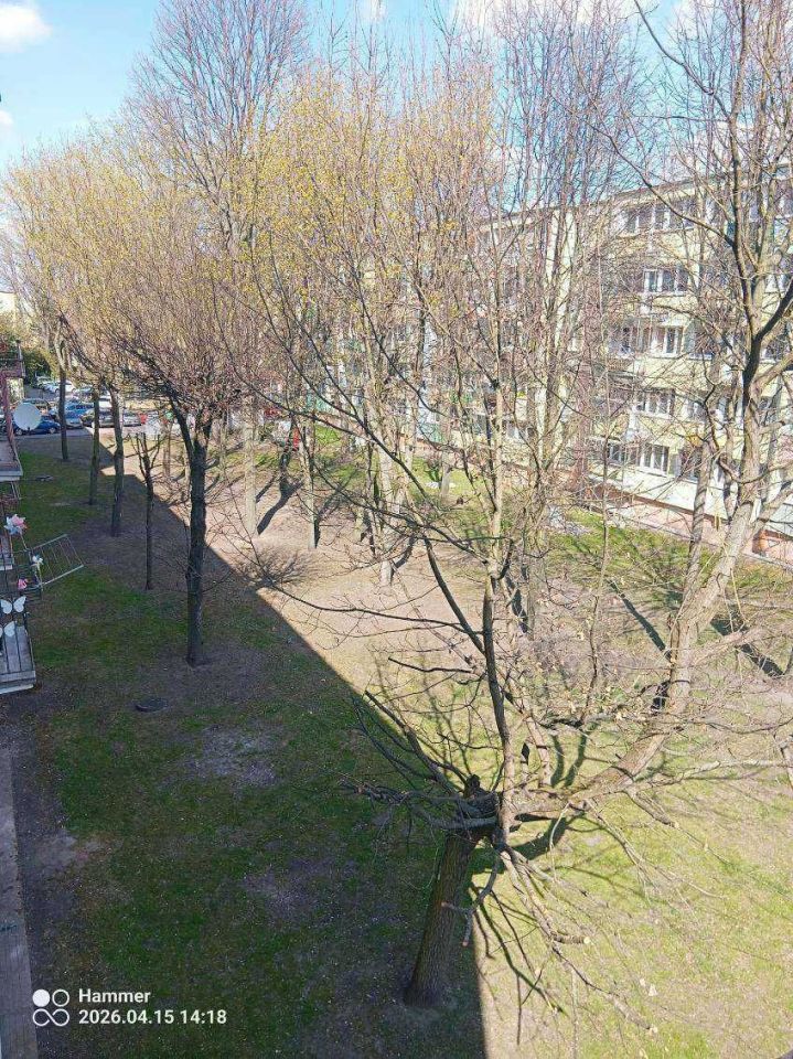 Mieszkanie 2-pokojowe Inowrocław, ul. Władysława Łokietka. Zdjęcie 7