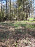 Działka rekreacyjna Dziekanów Polski, w pobliżu ul. Drewnianej. Zdjęcie 4