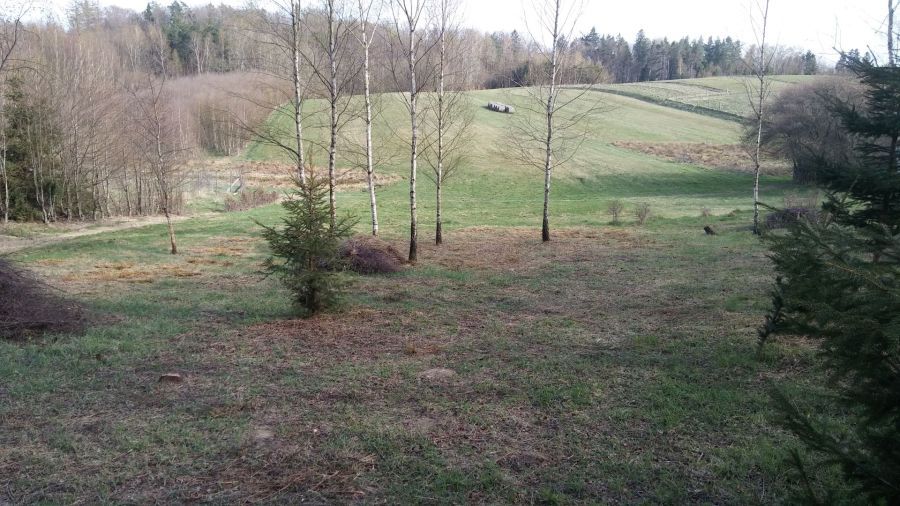 Działka budowlana Ząbrsko Górne. Zdjęcie 6