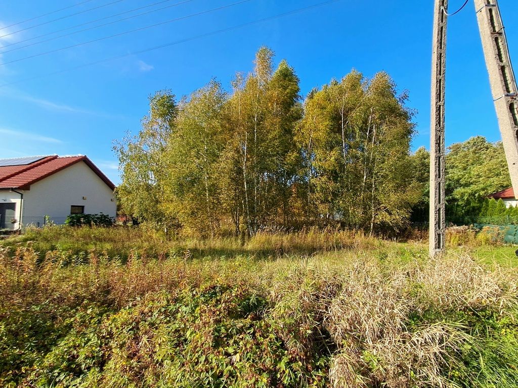 Działka budowlana Morzęcin Mały, ul. Brzezińska. Zdjęcie 20