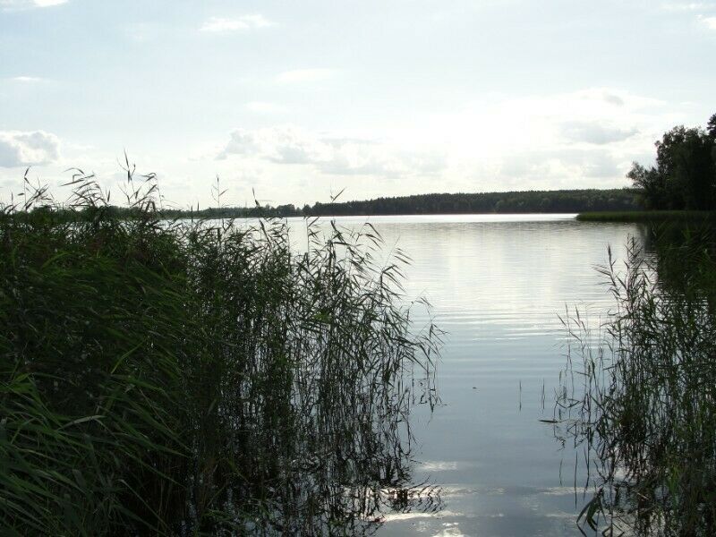 Działka rolno-budowlana Kruklanki Grądy Kruklaneckie. Zdjęcie 5