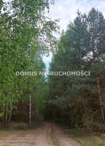 Działka inwestycyjna Grzmiąca. Zdjęcie 7