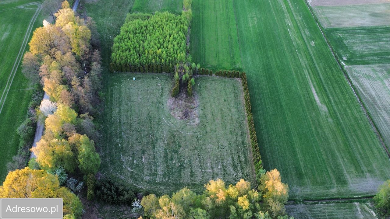 Działka budowlana Czernikowice. Zdjęcie 6