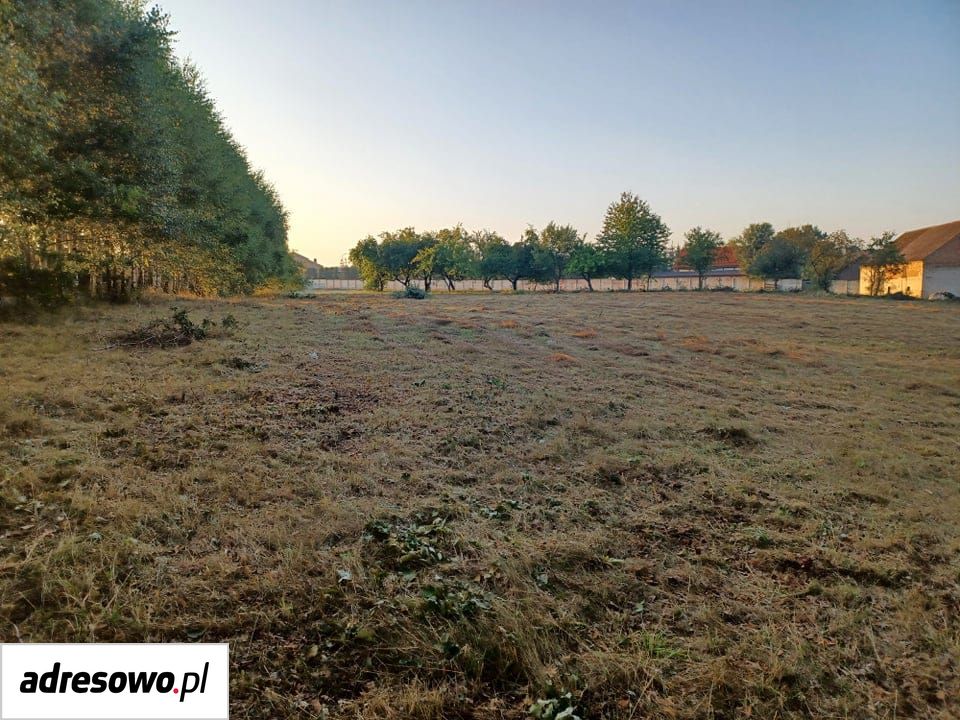 Działka rolno-budowlana Bystrzyna, ul. Widokowa. Zdjęcie 3