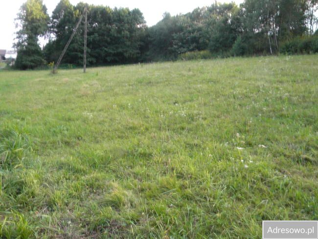Działka budowlana Wielopole Skrzyńskie. Zdjęcie 4
