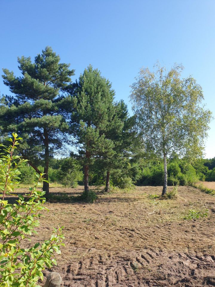 Działka budowlana Tomaszew. Zdjęcie 8