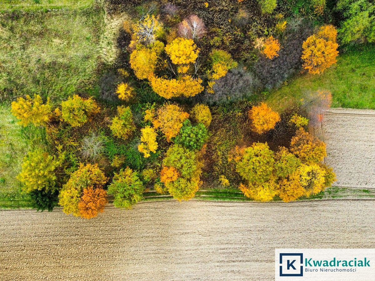 Działka rekreacyjna Warzyce. Zdjęcie 5