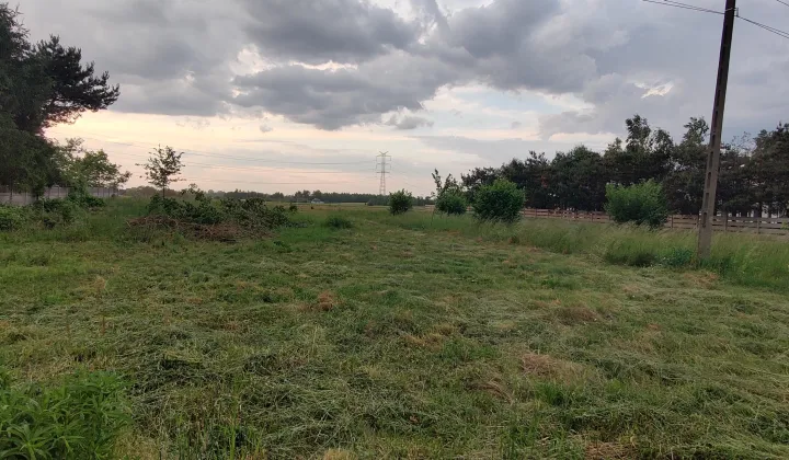 Działka budowlana Miedźno, ul. Wyzwolenia