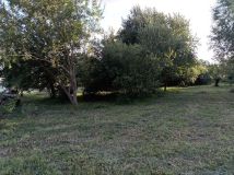 Działka rod Białogard. Zdjęcie 4